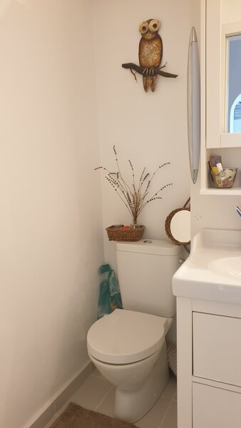 Titulescu, Banu Manta,